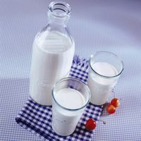 Milch am Morgen reduziert Hunger am Mittag