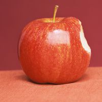 Apfelkosmetika zum Selbermachen: Rezepte mit Äpfeln, die Sie schön machen