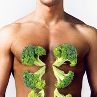 Metabolic Balance - die wirtschaftlichen Aspekte einer Diät
