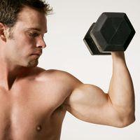 Turbo-Training (HIT): Der effizienteste Weg zu mehr Muskeln?