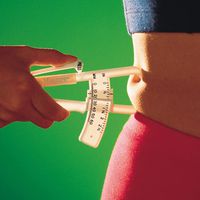 Dick oder dünn, schön oder hässlich? Was BMI und THV uns verraten