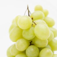 Vinotherapie: Jung und schön mit Weintrauben