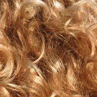 Die besten Tricks gegen trockenes Haar