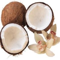 Die Kraft der Kokosnuss verschönert Haut und Haar