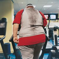 US-Studie untersucht Wirksamkeit von Weight Watchers