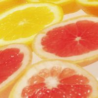 Was man über Orangen wissen sollte