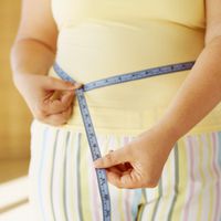 Gen für Fettleibigkeit entdeckt