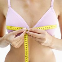 Die weibliche Brust: Alles reine Formsache - oder?